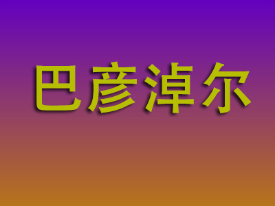 莆田到巴彦淖尔物流专线-莆田至巴彦淖尔物流公司