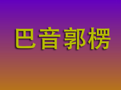 成都到巴音郭楞物流专线-成都至巴音郭楞物流公司