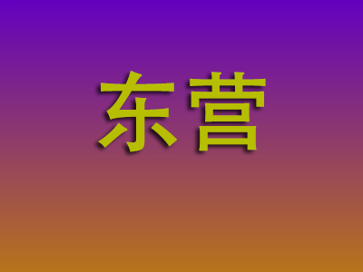 北京到东营物流专线-北京至东营物流公司