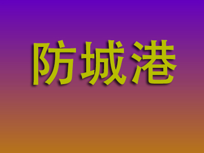 温州到防城港物流专线-温州至防城港物流公司