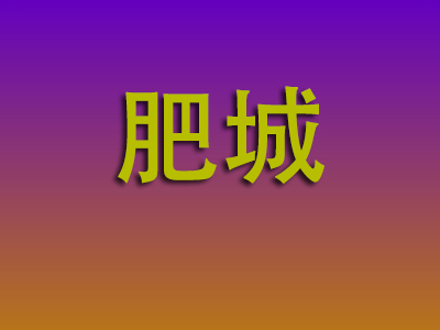 石家庄到肥城物流专线-石家庄至肥城物流公司