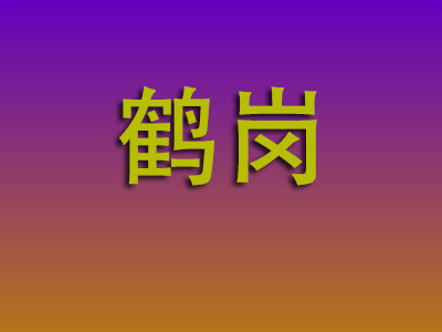 重庆到鹤岗物流专线-重庆至鹤岗物流公司