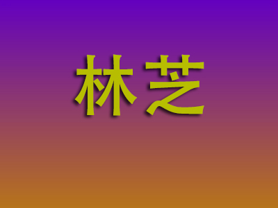 南昌到林芝物流专线-南昌至林芝物流公司