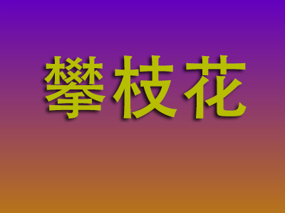 昆明到攀枝花物流专线-昆明至攀枝花物流公司