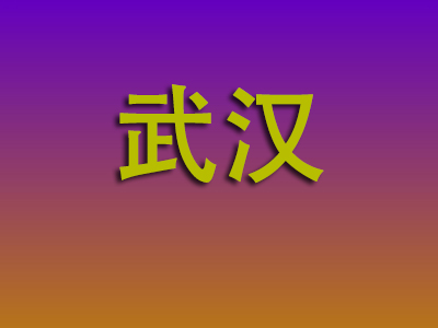 合肥到武汉物流专线-合肥至武汉物流公司