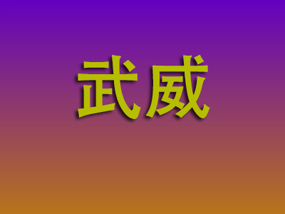 合肥到武威物流专线-合肥至武威物流公司