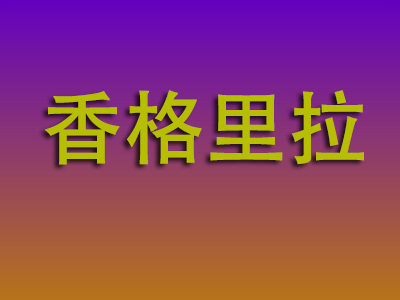 温州到香格里拉物流专线-温州至香格里拉物流公司