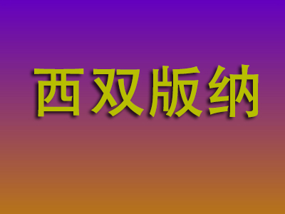 成都到西双版纳物流专线-成都至西双版纳物流公司