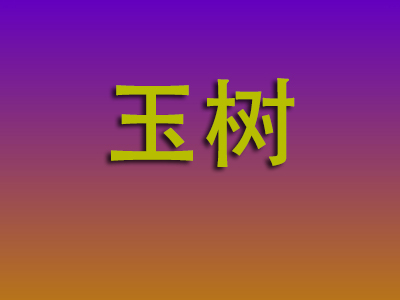 温州到玉树物流专线-温州至玉树物流公司