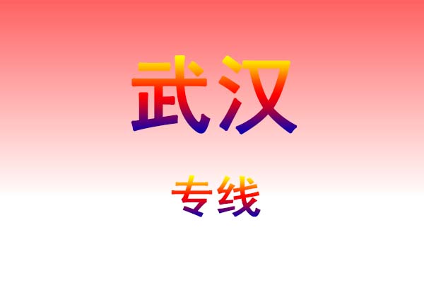 芜湖到武汉货运专线