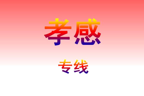 黄石到孝感货运专线